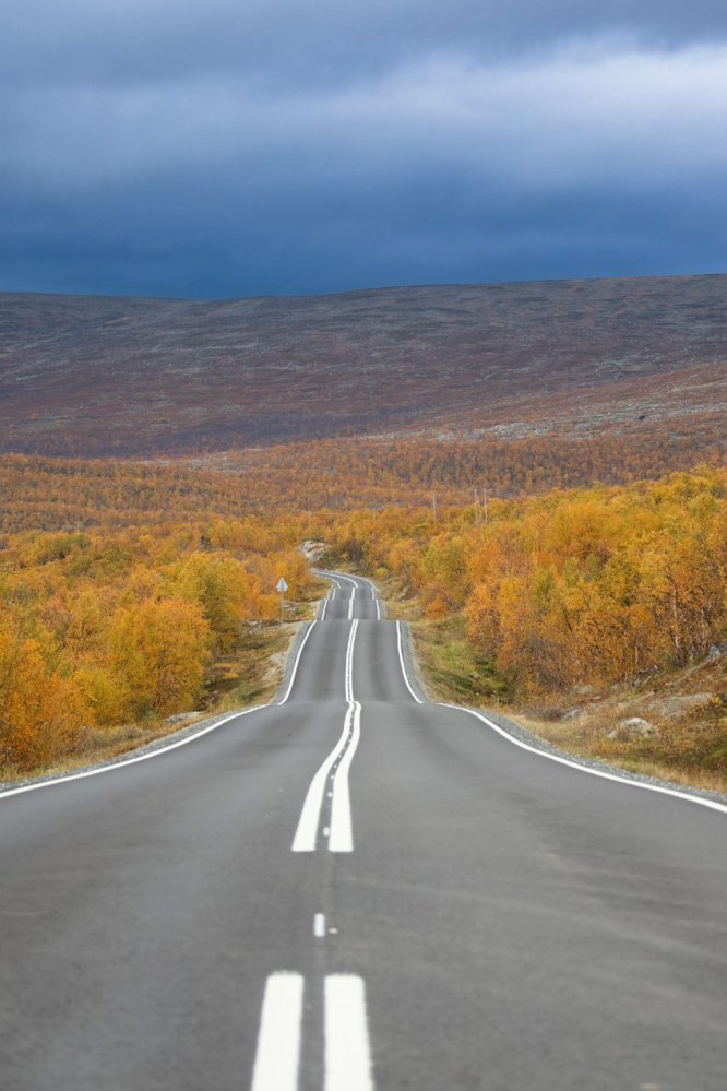 Valtatie 21 kohti Kilpisjärveä, pätkä tietä jonka laidoilla värikkäitä tunturikoivuja.