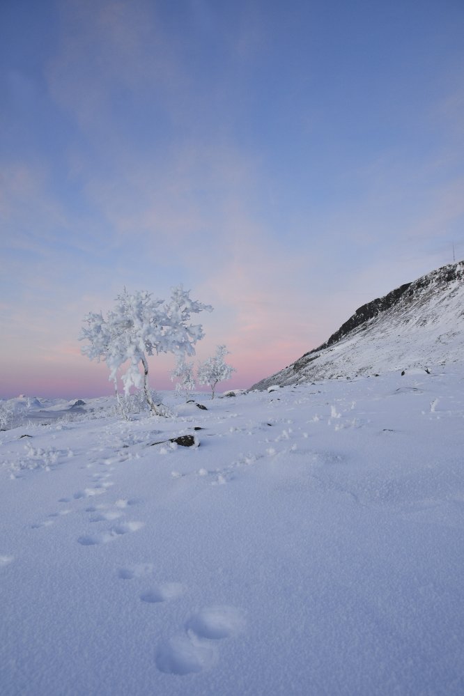 Pastellinsävyt värittävät Kilpisjärveä 