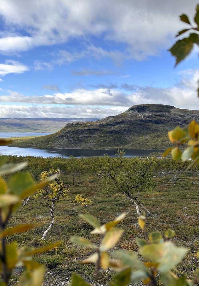 Maisemaa syyskuun alussa kohti Pikku-Malla tunturia ja Kilpisjärveä aurinkoisena päivänä. Kuvassa näkyvät koivut ovat alkaneet hieman vaihtaa väriä.