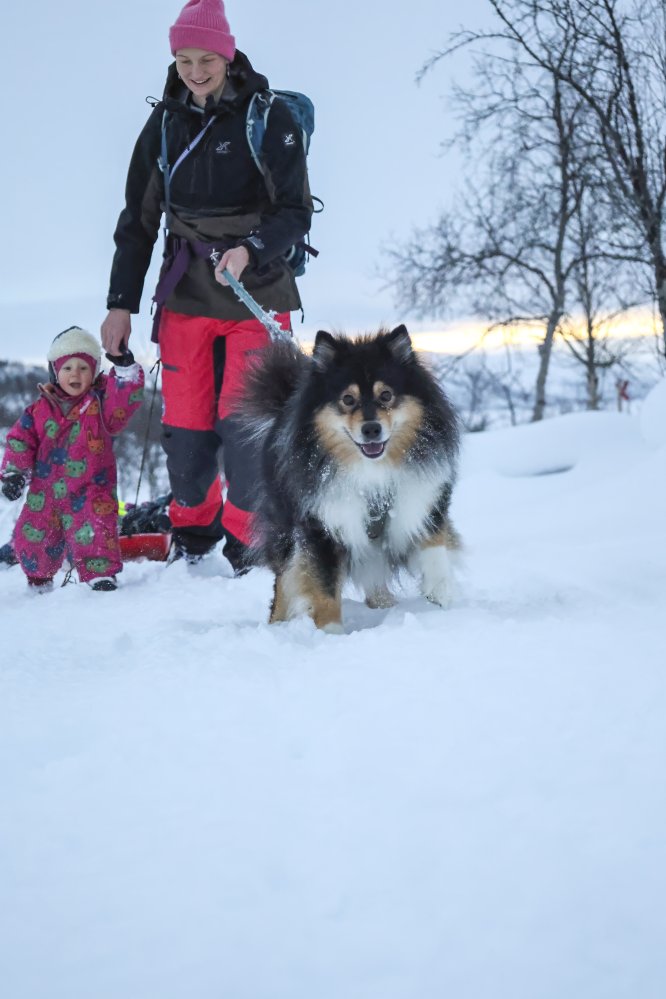 Iloinen lapinkoira johdattaa seuruetta perässään jossa on äiti ja pieni poika. Kilpisjärven maisema on luminen ja lisää lunta sataa