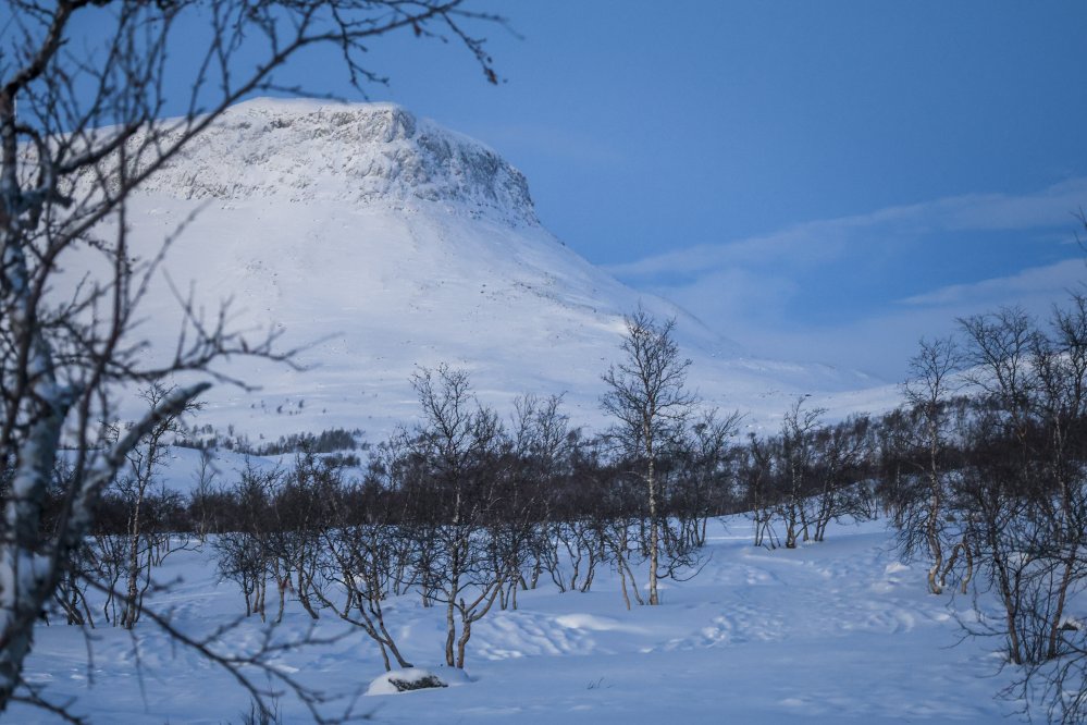 Kuvassa on Kilpisjärven Saana tunturi valkoisena lumesta. On kaamos.